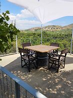 Farm House in Bio Orange Plantation