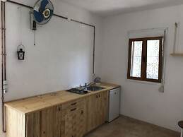 Farm House in Bio Orange Plantation