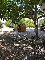 Farm House in Bio Orange Plantation