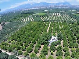 Farm House in Bio Orange Plantation
