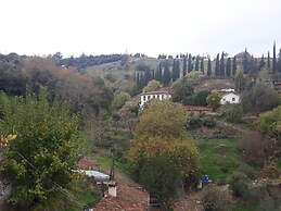 Sirince Dogadaki Evler
