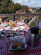 Sirince Dogadaki Evler