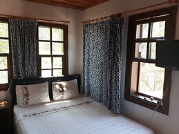 Sirince Dogadaki Evler