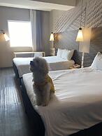 ibis Mexico Tlalnepantla