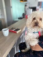 ibis Mexico Tlalnepantla