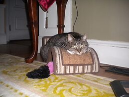 Fleetwood House Bed & Breakfast