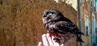 Rincón de Doña Inés