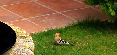 Rincón de Doña Inés