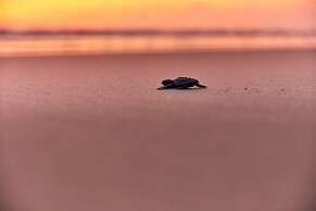 One Acapulco Diamante