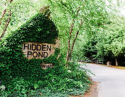 Hidden Pond