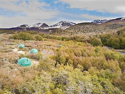 Huemules Reserva de Montana