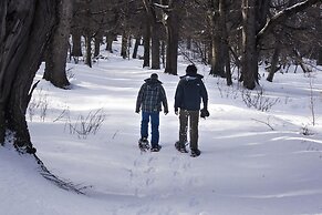 Huemules Reserva de Montana