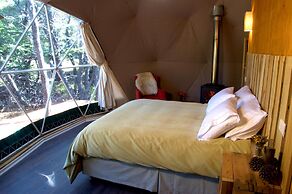 Huemules Reserva de Montana