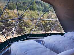 Huemules Reserva de Montana