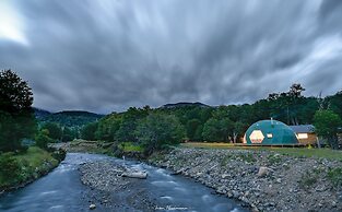 Huemules Reserva de Montana