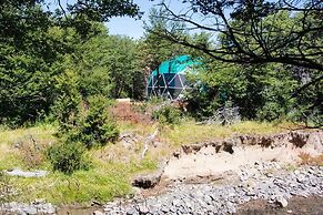 Huemules Reserva de Montana