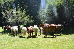 Huemules Reserva de Montana