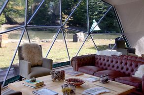 Huemules Reserva de Montana