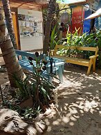 The Funky Dodo Backpackers