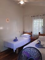 The Funky Dodo Backpackers