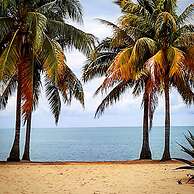 The Funky Dodo Backpackers