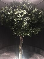 Shadow Play 2Bed Ocean View Apartment