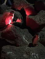 Shadow Play 2Bed Ocean View Apartment