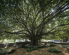 Navana Nature Escape