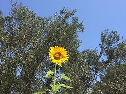 Meltemi Studios and Apartments