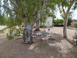 TerreAmare Agriturismo