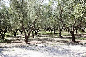 TerreAmare Agriturismo