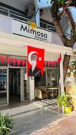 Mimosa Pension