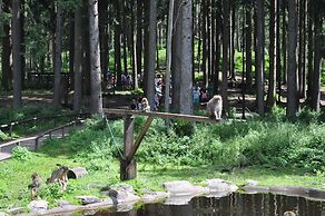 Kärnten Appartements