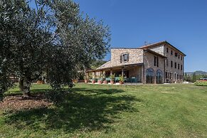 Costa degli Ulivi