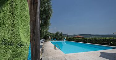 Costa degli Ulivi