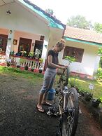 Green herbal Ayurvedic Eco-Lodge