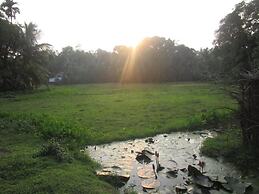 Green herbal Ayurvedic Eco-Lodge
