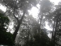 Green herbal Ayurvedic Eco-Lodge