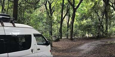 Haile Resort Arbaminch