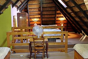 Treks Trips and Trails