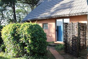 Treks Trips and Trails