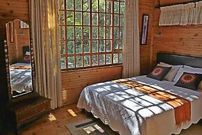 Treks Trips and Trails