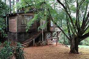 Treks Trips and Trails