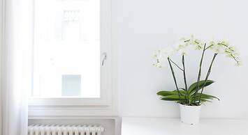 Bella Vita Charming House