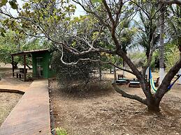 Cheiro Verde Noronha