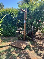 Cheiro Verde Noronha