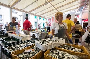 Villa Minerva Gardens