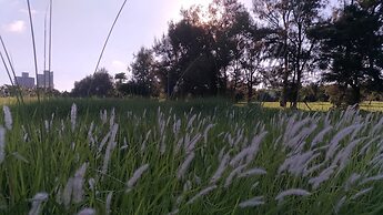 Taiowan One Piece Anping House