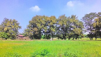 Taiowan One Piece Anping House