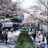 Condominium KEYAKI-AN Tokyo Nihonbashi